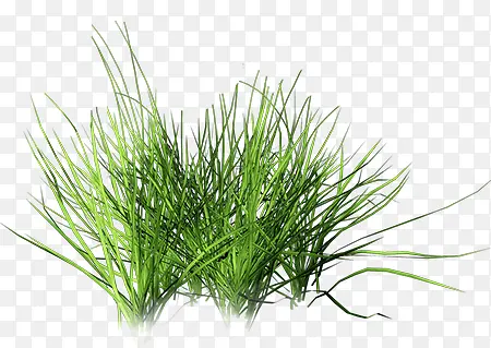 �ݴ�  ·��С��-������