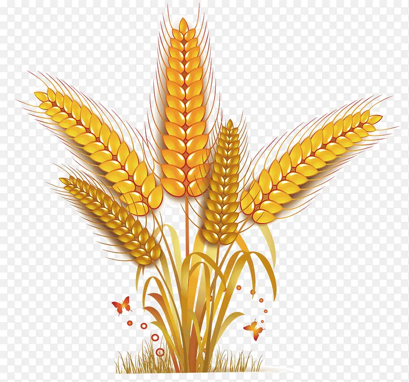 ���������-������