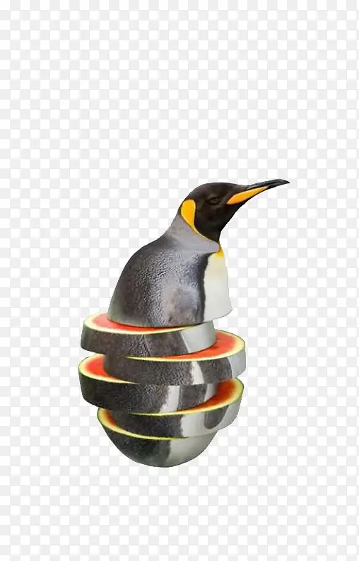 �����߲����-������