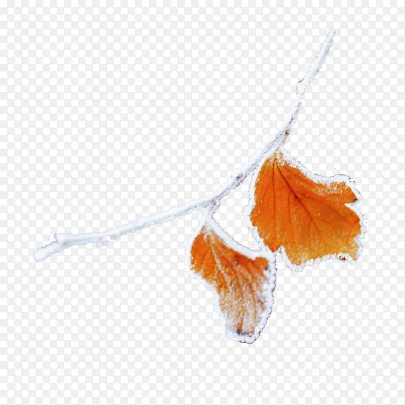 ˪��������ѩ���ɫ��Ҷ��֦װ��-������