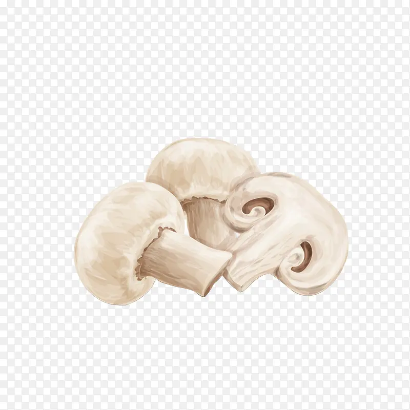 �ֻ�ʳ���㹽�ز�-������