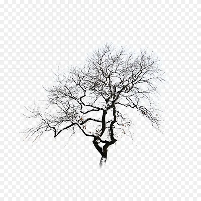 �ֻ���-������