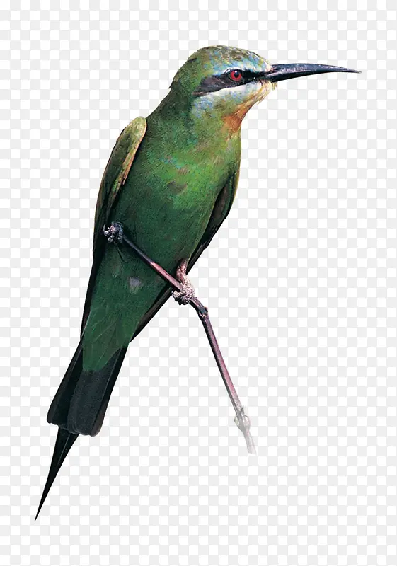 ��ɫС��-������