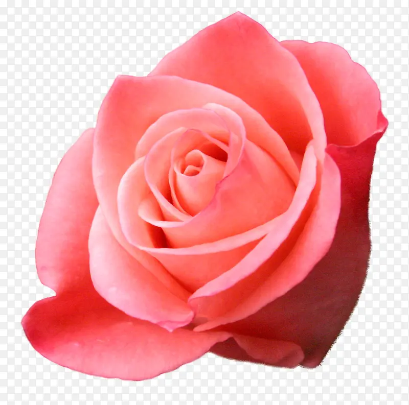 ���ݱ�ǩ���������ز�-������