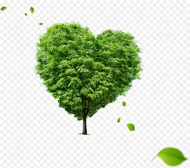 ������-������