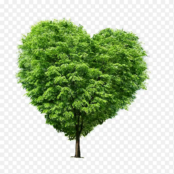 ���Ĵ���-������