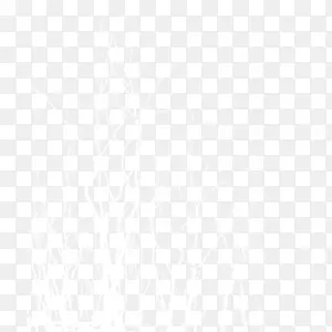 ʥ����װ�ΰ�ɫ��֦ͼ��-������