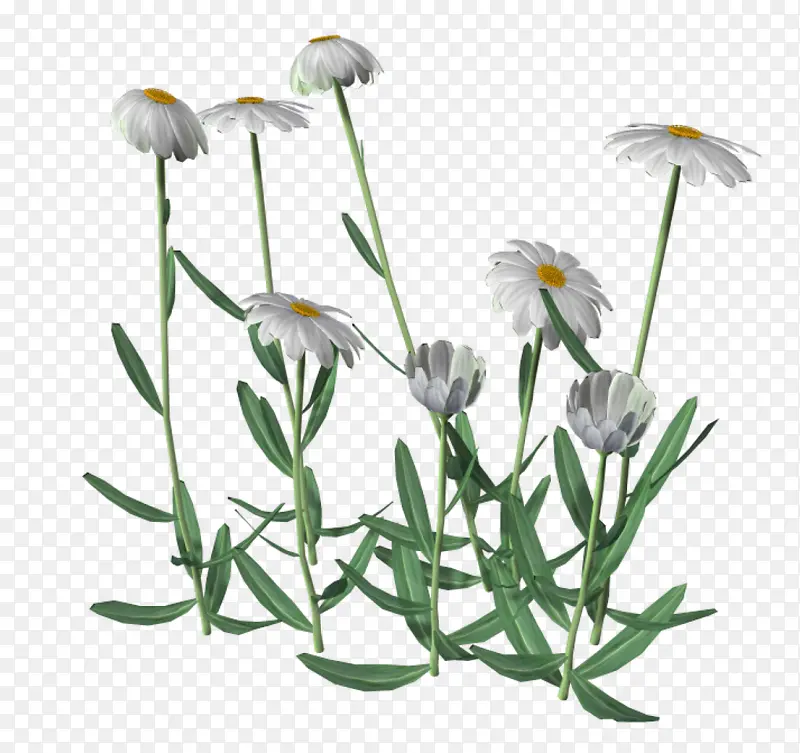 �����ز��ֻ�װ��ͼƬ-������