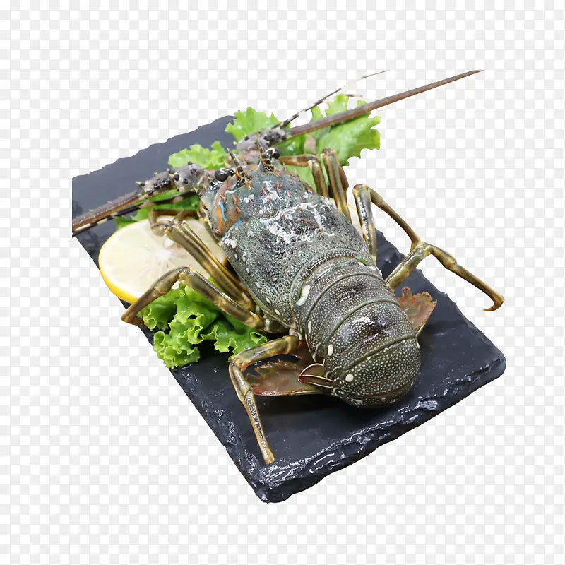 ��Ϻ��������ز�-������