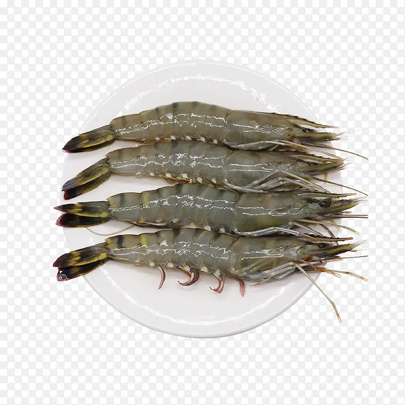 ���ʲ�������ز�-������