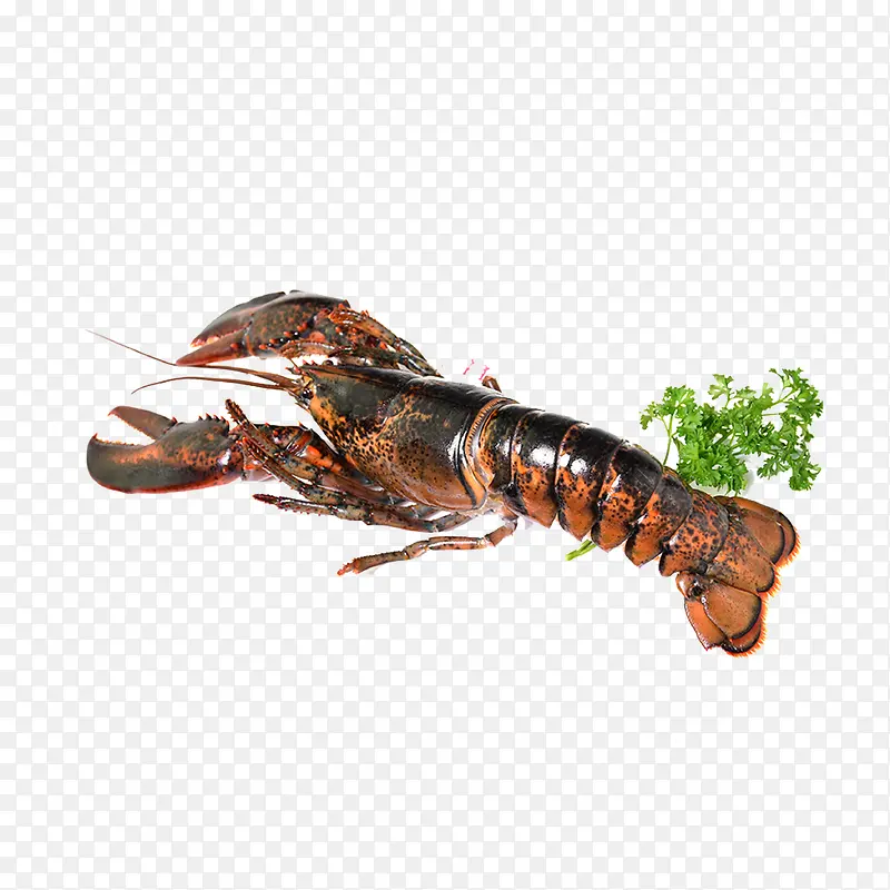 С��Ϻ��溣�����-������