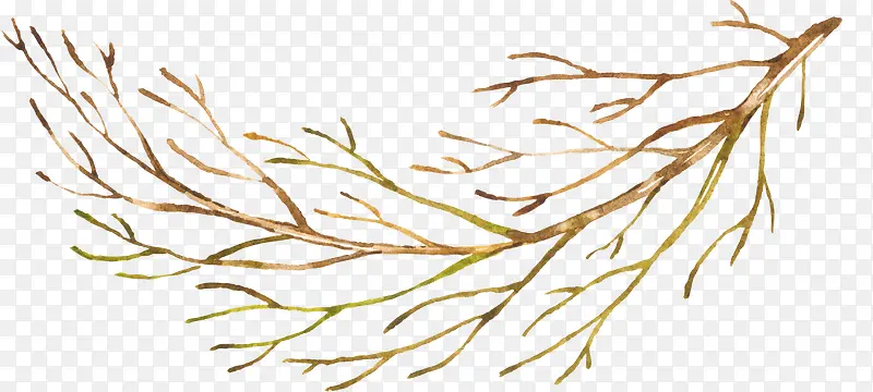 ��֦-������