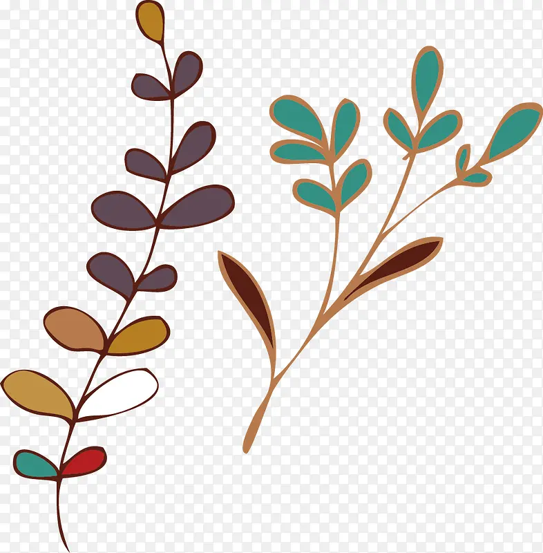 ��֦��Ҷ-������