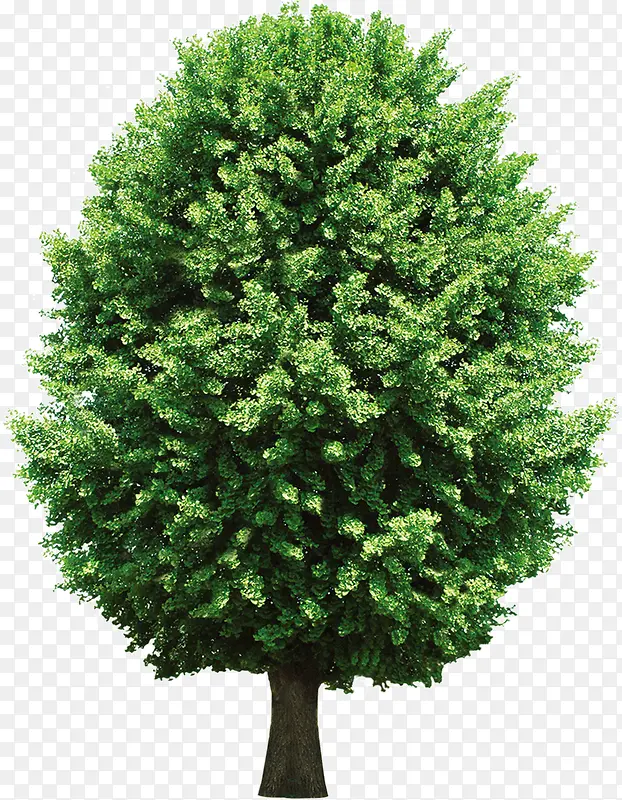 ���ⰻȻ����-������