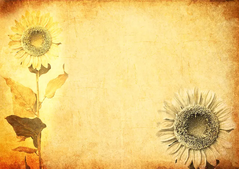 �������տ�������-������