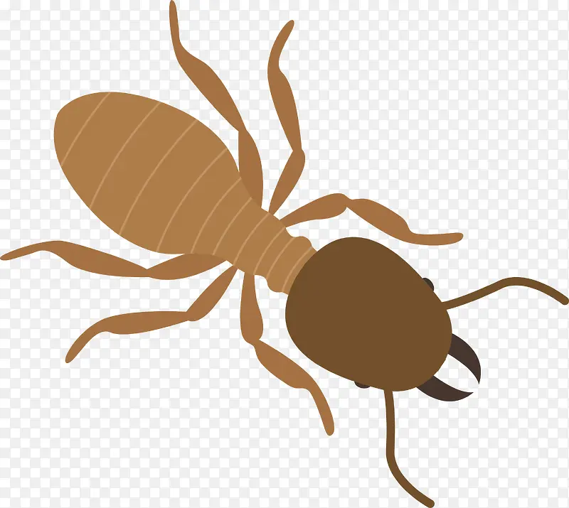 ����ʸ����ͨ����-������