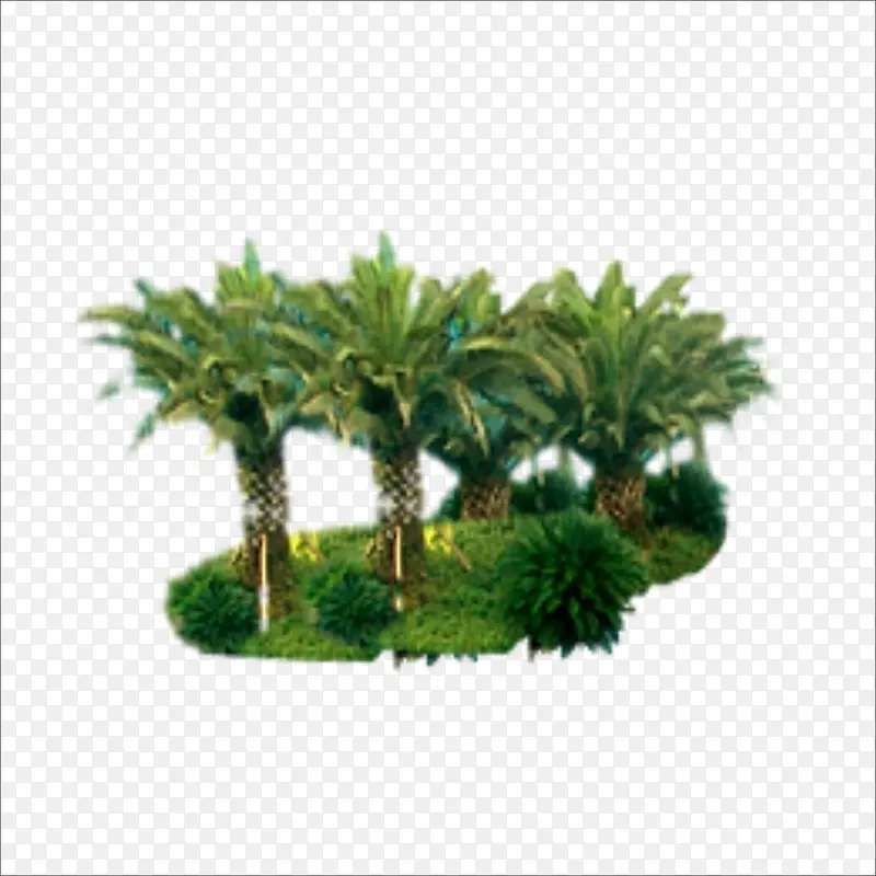 ����-������