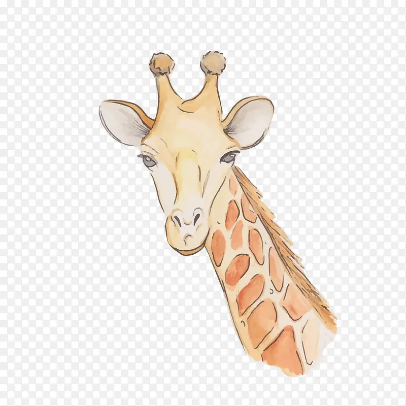 ʸ��ˮ�ʳ���¹ͷ��-������