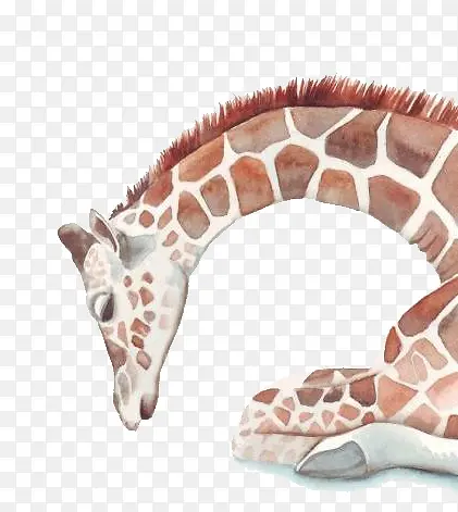 ˮ���ֻ泤��¹-������