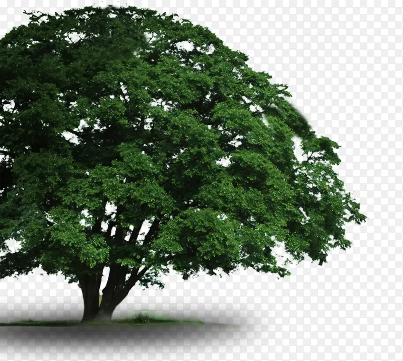 ����-������