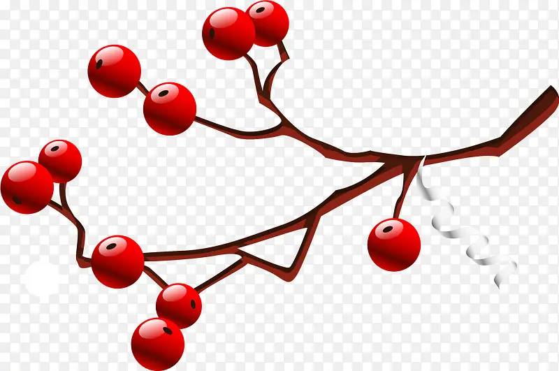 ��ɫ��Լ��֦-������