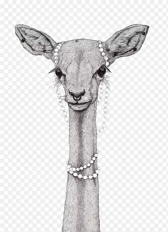 �ڰײ廭����-������