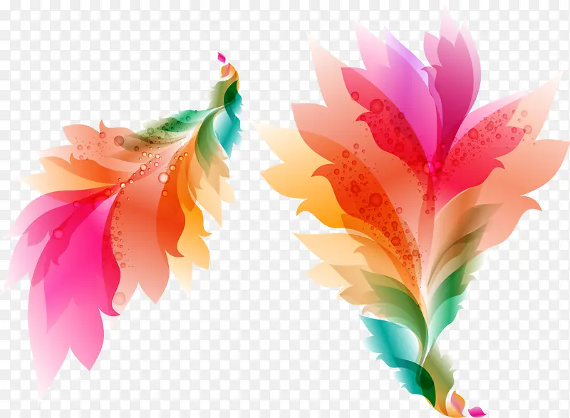 ������ɫ��ë-������