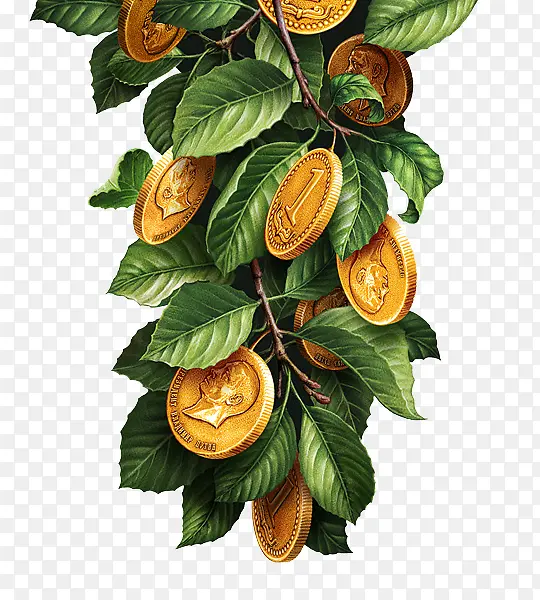 ��֦�ϵĽ��-������