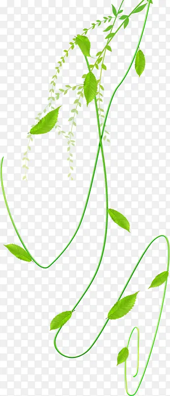 ��ҶԪ��-������