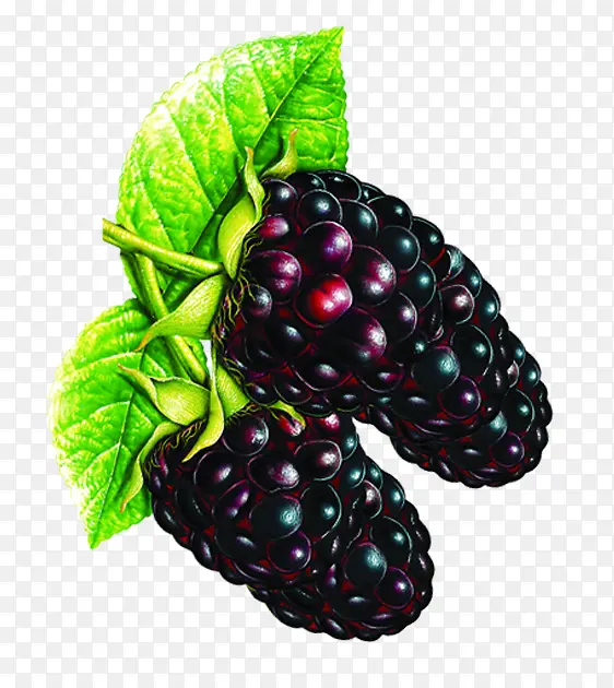 ˮ������-������