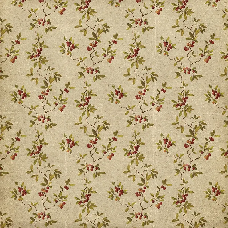 ӣ�Ҳ��Ʊ���-������