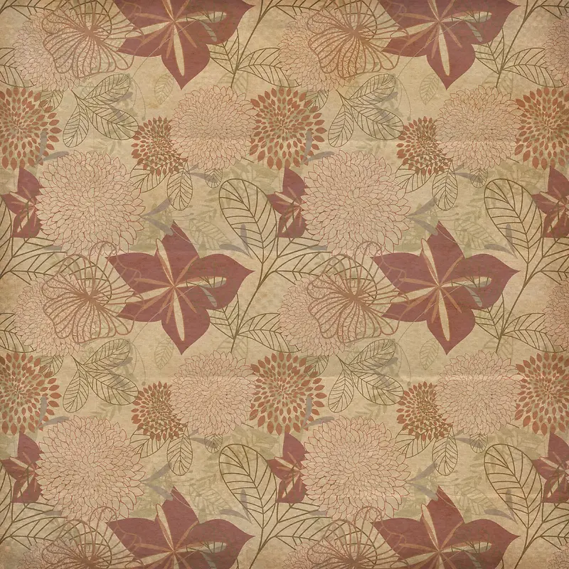 ����Ҷ�Ӳ��Ʊ���-������