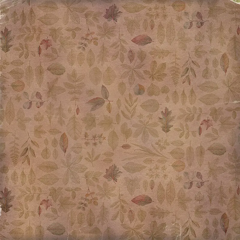 ����Ҷ��ͼ������-������