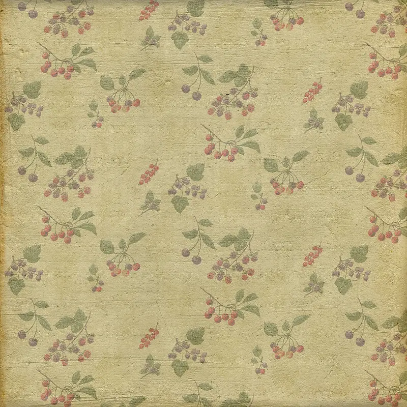 ӣ��Ҷ�ӵ��Ʊ���-������