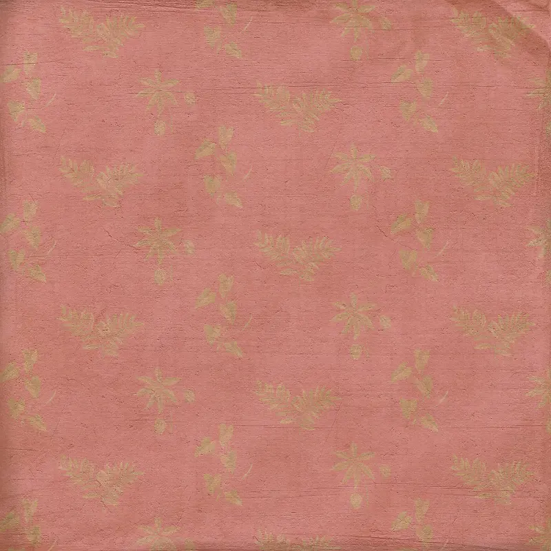 ������Ҷ����-������