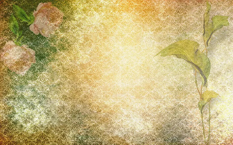 ���Ż��ܵ���-������