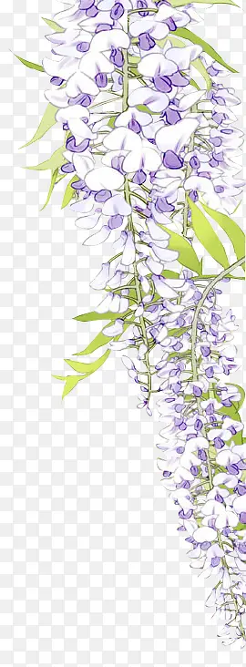 ���ɵ��������ֻ�廭-������