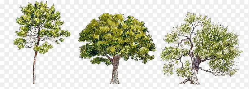 ���� ������-������