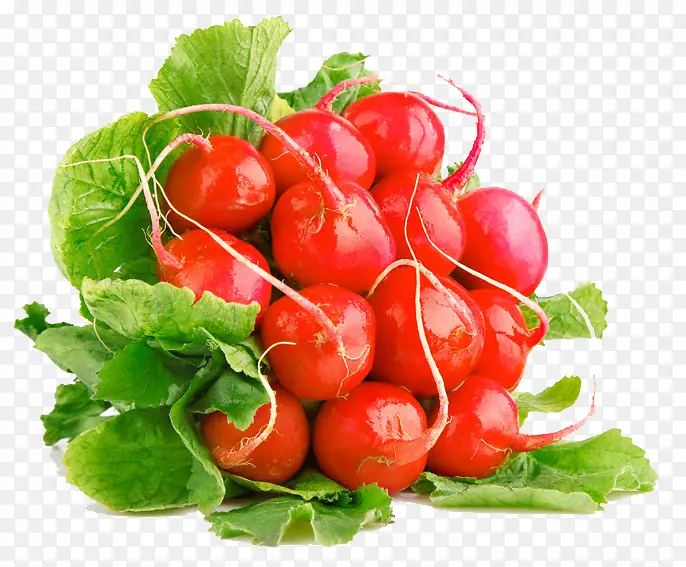 һ�Ѻ��ܲ��߲�Ҷ��-������