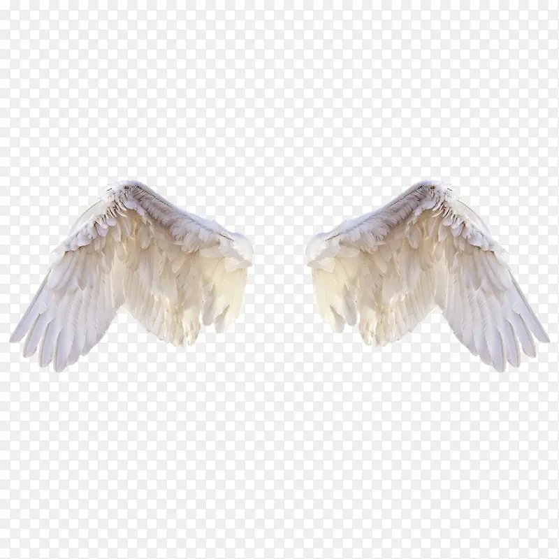 ����ĳ��-������