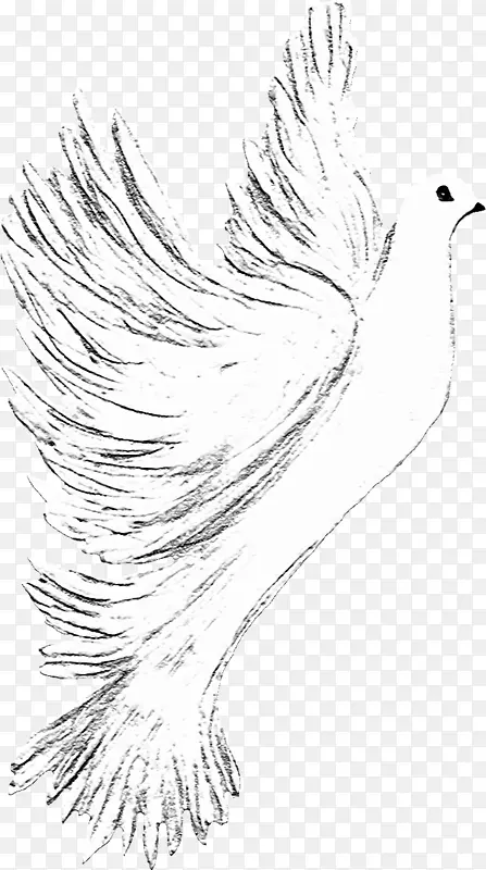 �ֻ濨ͨ��ɫ����-������