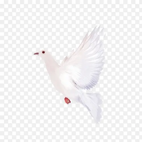 ��ɫ�ֻ���-������