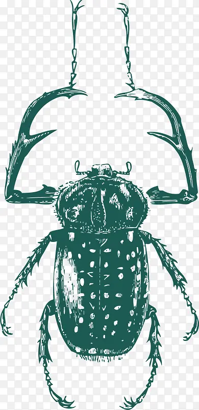 ������צ��������-������