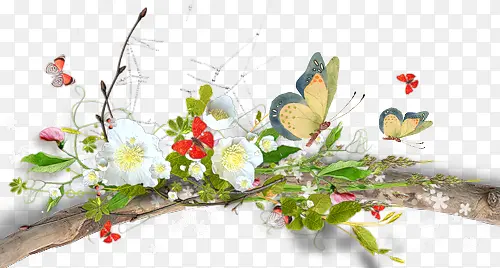 ��֦�ϵĻ�����-������