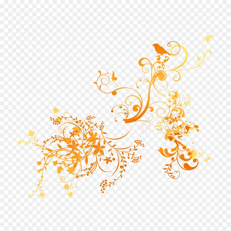 ��ɫ����-������