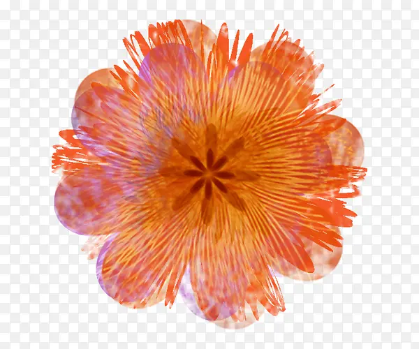 ��ɫӡ��С��-������