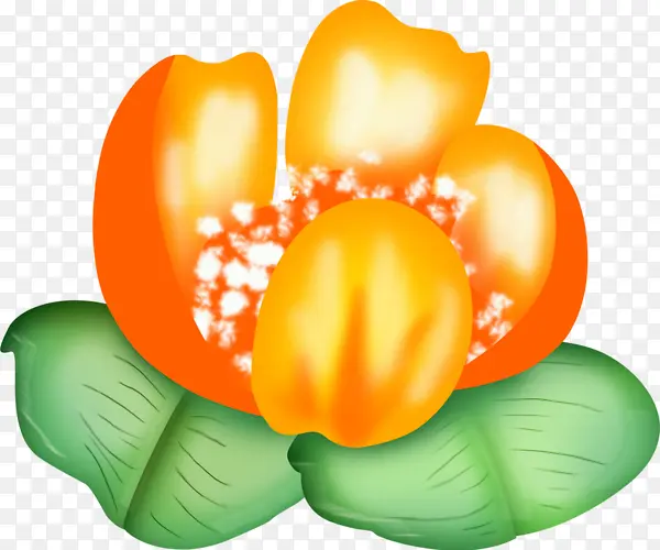 ��ɫС��װ��Ʒ-������