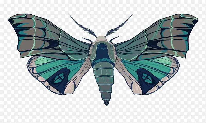 ʸ����ͨ��ɫ�ɶ�-������