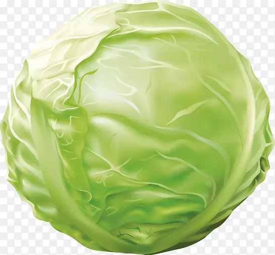 �����߲˸���-������