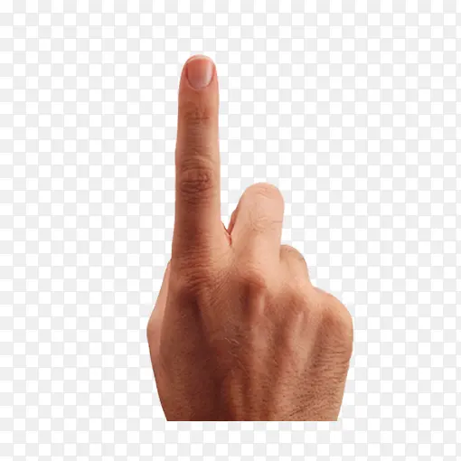 ��ɫ������ָԪ��-������